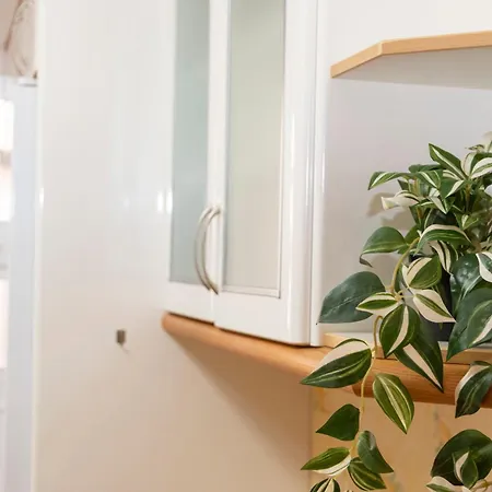 Sol Y Playa -frente Al Mar פואנגירולה